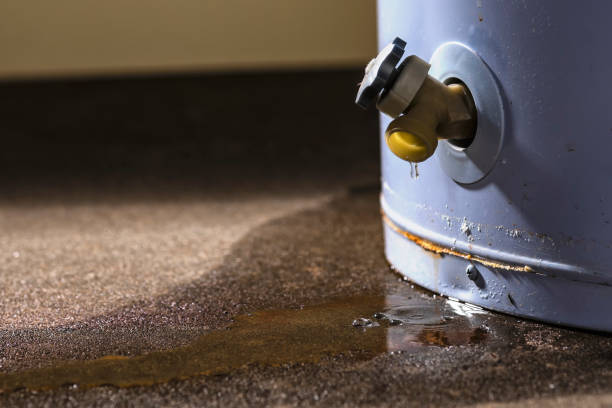 Best Water damage contractors near me  in Rexland Acres, CA
