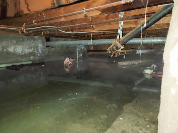 Best Water damage restoration near me  in Rexland Acres, CA