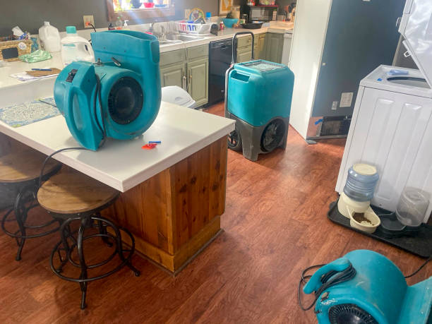  Rexland Acres, CA Water damage restoration Pros