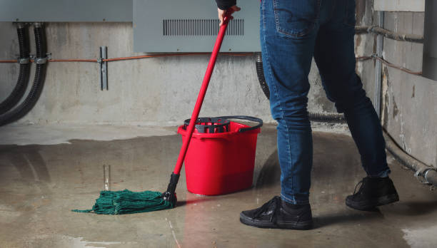 Best Flood damage cleanup  in Rexland Acres, CA