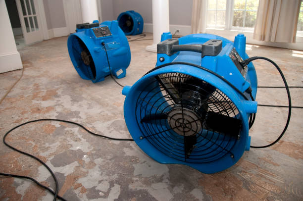 Local water damage restoration in Rexland Acres, CA