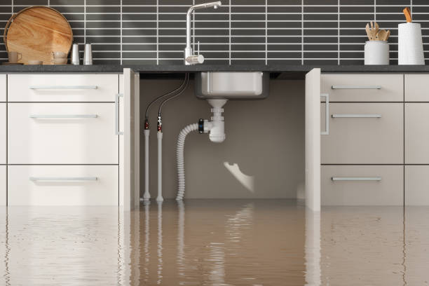  Rexland Acres, CA Water damage restoration Pros