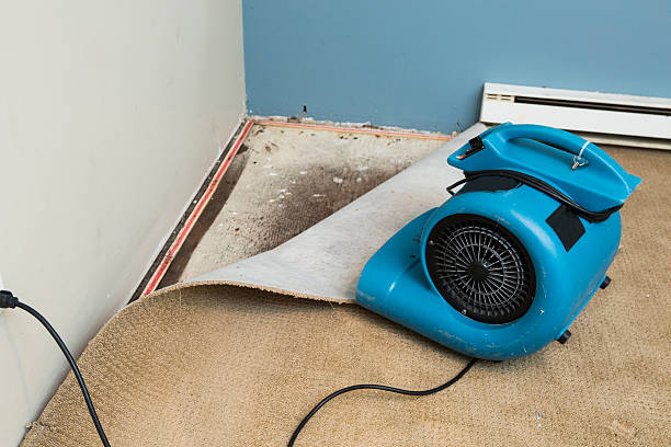 Best Local water damage restoration  in Rexland Acres, CA